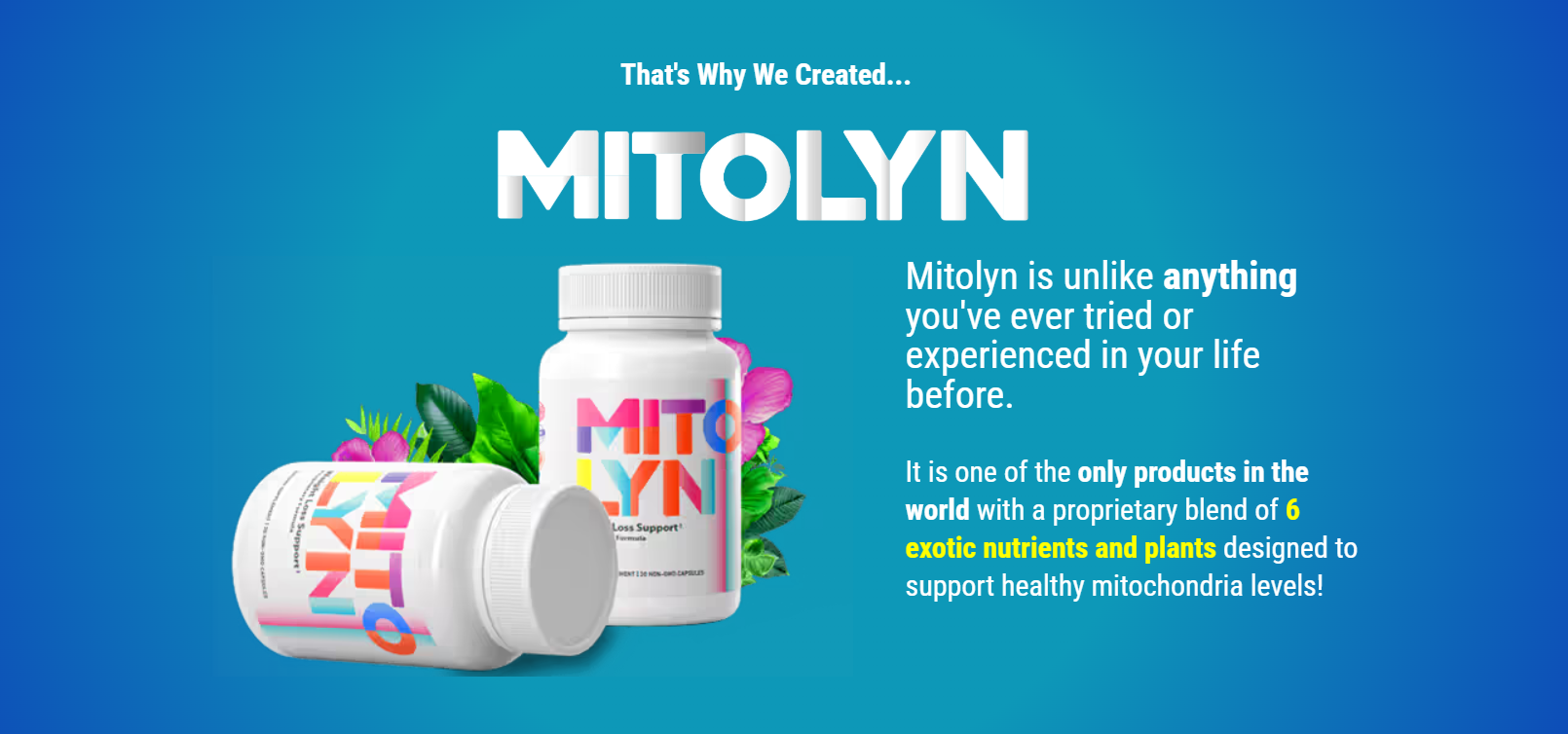 Mitolyn Does It Work Important Facts Before Ordering